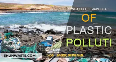 Plastic Pollution: Understanding the Global Crisis