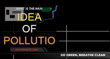 Understanding Pollution: Its Main Idea and Impact
