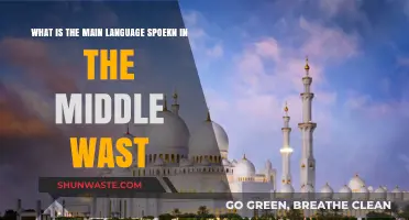 Exploring the Primary Language Spoken in the Middle East Region