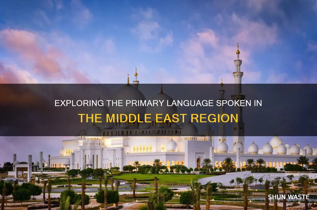 what is the main language spoekn in the middle wast