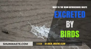 Birds' Unique Waste: Understanding Uric Acid Excretion in Avian Species