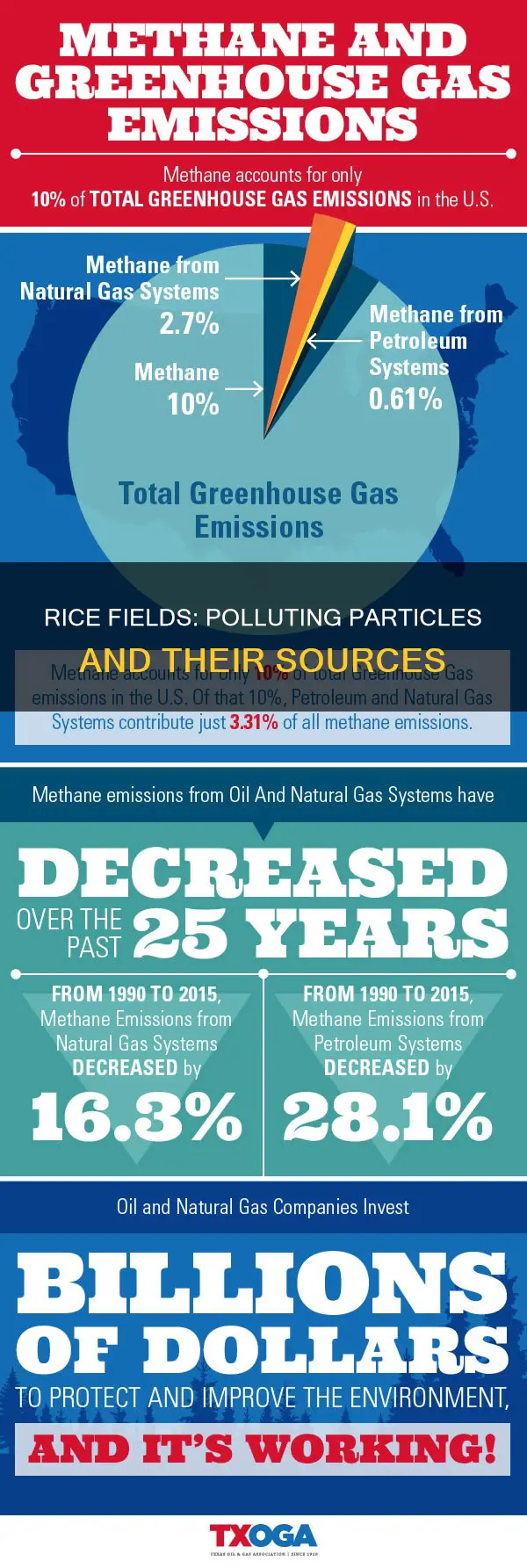 what is the main pollutant from rice field