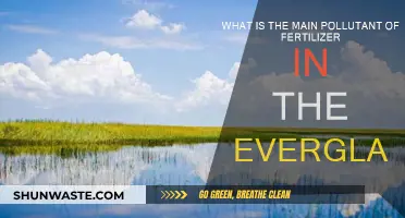 Fertilizer's Harmful Impact: Polluting the Everglades