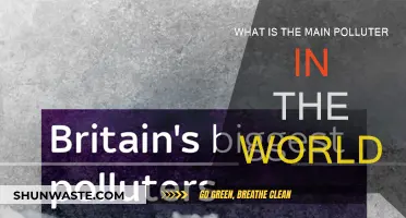 Who's the World's Biggest Polluter?