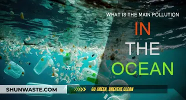 Ocean Pollution: The Main Culprit Revealed