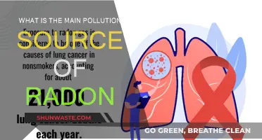 Radon Pollution: The Silent Home Hazard