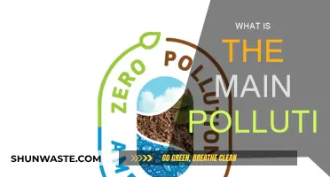 The Main Pollution Culprit: Understanding the Primary Source
