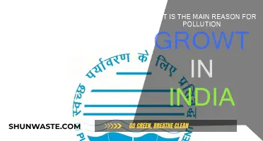 India's Pollution Crisis: Reasons and Solutions