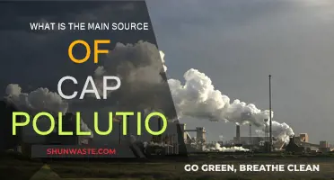 Cap Pollution: The Main Culprit Revealed