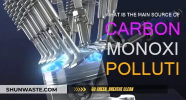 Carbon Monoxide Pollution: The Main Culprit Revealed