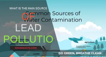 Lead Pollution: The Main Culprit Revealed
