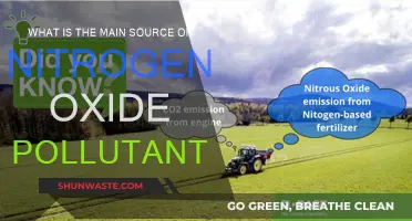 Nitrogen Oxide Pollutants: The Main Culprit Unveiled