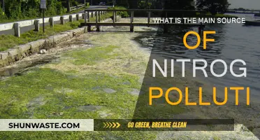 Nitrogen Pollution: The Unseen Threat to Our Environment