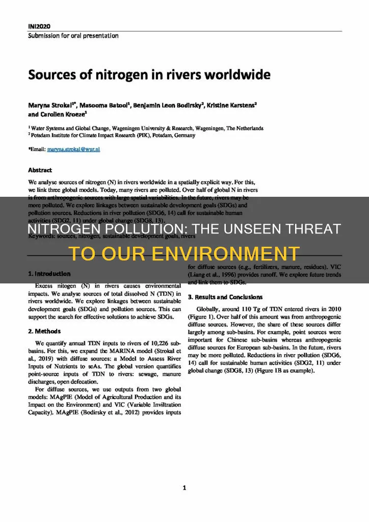 what is the main source of nitrogen pollution