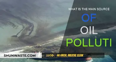 The Dark Side of Oil: Main Pollution Source