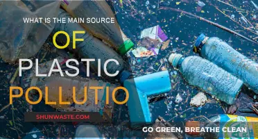 The Dark Side of Plastics: Primary Pollution Sources