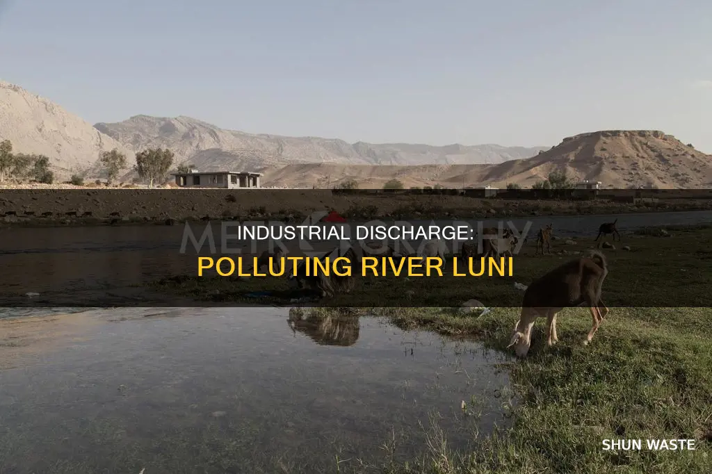 what is the main source of pollution in river luni