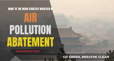 Strategies for Fighting Air Pollution