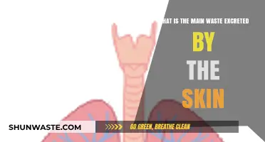 Understanding Skin's Primary Waste: What Your Skin Excretes Daily