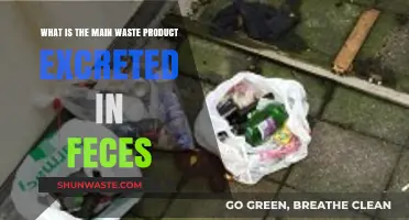 Understanding the Primary Waste Component Excreted in Human Feces