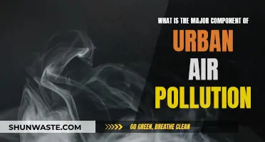 Air Pollution Sources in Cities: A Complex Mix