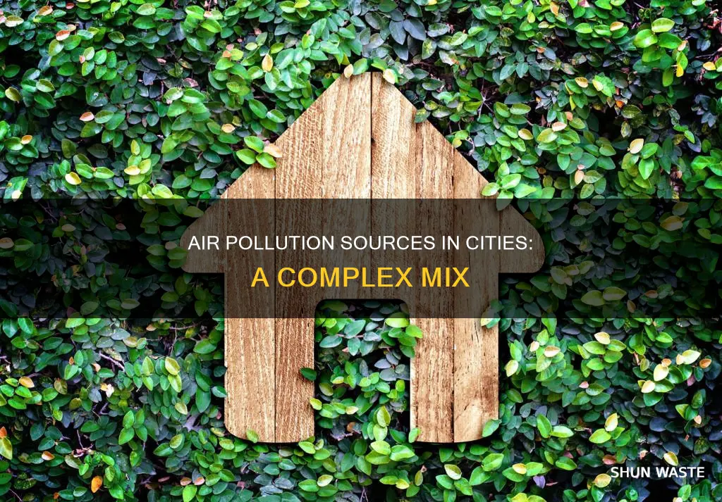 what is the major component of urban air pollution