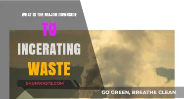 Incinerating Waste: Unveiling the Major Environmental and Health Downsides