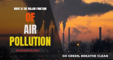 Air Pollution: A Major Health Hazard