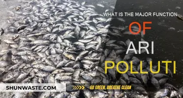 Air Pollution's Harmful Effects on Health