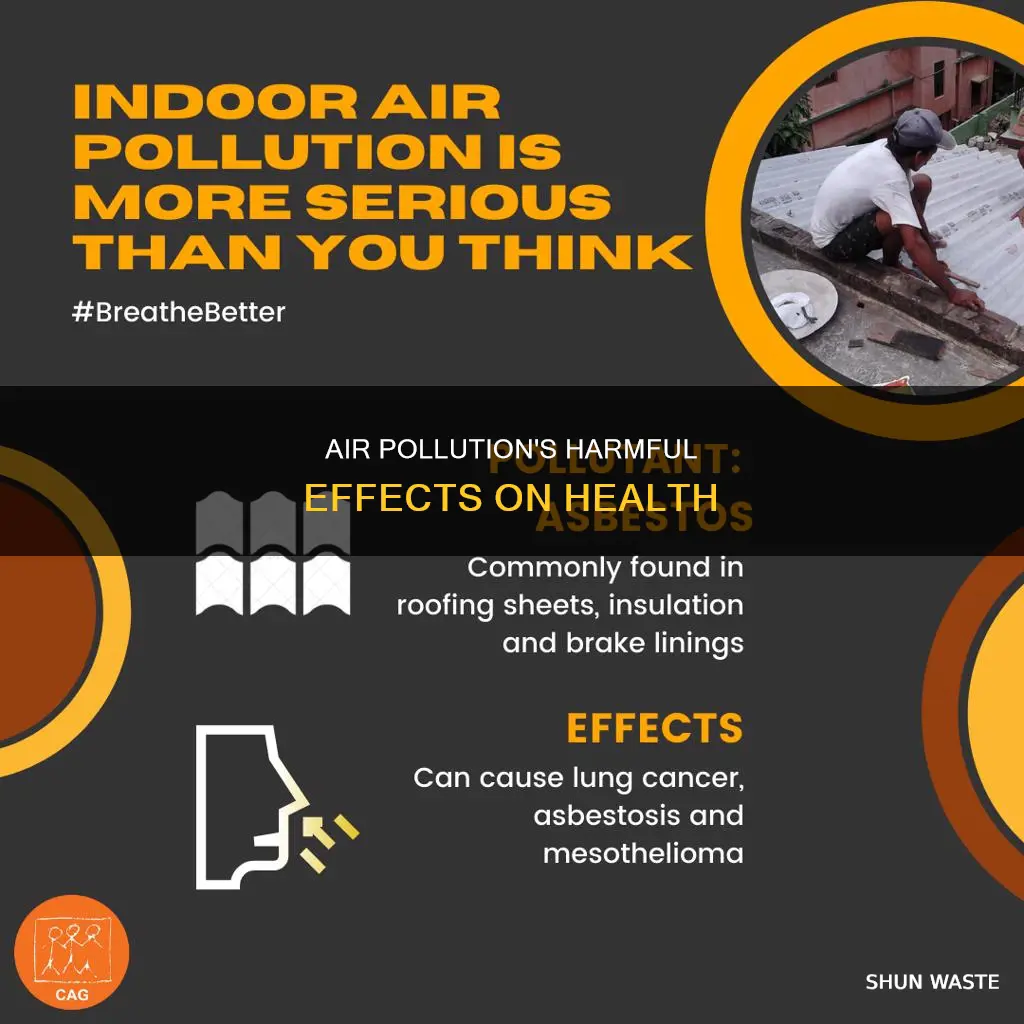 what is the major function of ari pollution