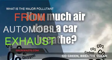 Air Pollution: Automobile Exhaust's Harmful Effects