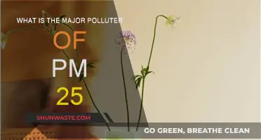 Air Pollution: PM 2.5 and Its Major Sources