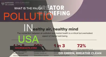 US Pollution: Major Sources and Impacts