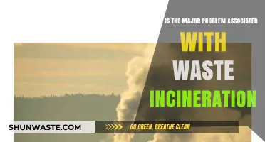 Waste Incineration's Hidden Dangers: Air Pollution and Health Risks