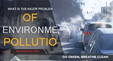 Environmental Pollution: What's the Main Issue?