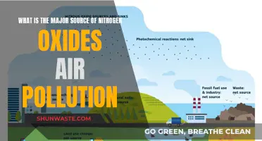 Nitrogen Oxides: Major Sources and Their Impact