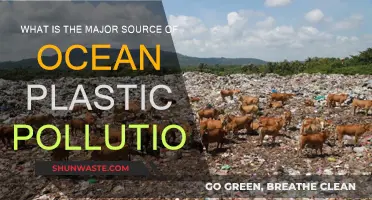 Ocean Plastic: The Main Culprit Unveiled