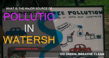 Human Activities: Watershed Pollution Sources