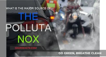 Understanding NOx: Major Sources and Pollutant Effects