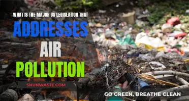 Air Pollution: US Legislation and Its Impact