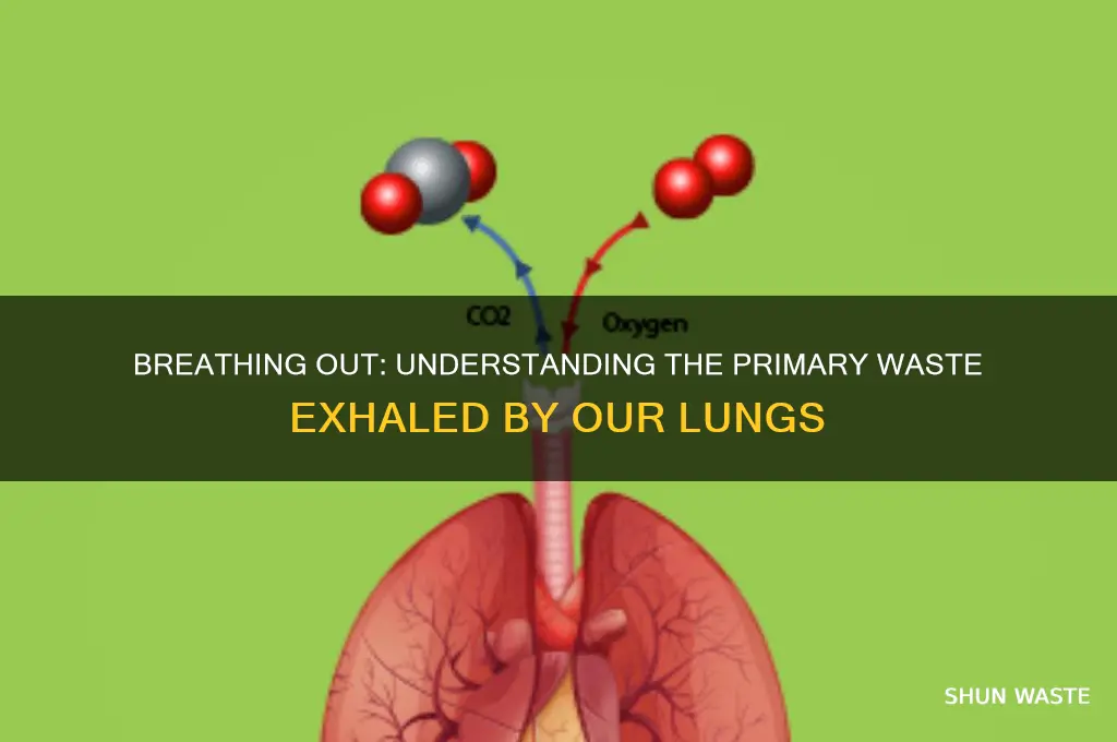 what is the major waste material our lungs exhale