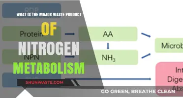 Understanding Urea: The Primary Waste Product of Nitrogen Metabolism