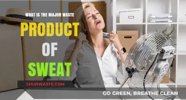 Unveiling Sweat's Primary Waste: Understanding Its Composition and Impact