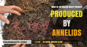 Annelid Waste: Understanding Their Primary Byproduct and Ecological Impact