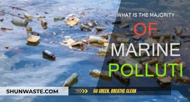 The Ocean's Plight: Plastic Pollution's Impact