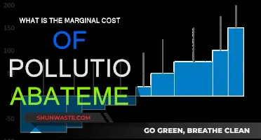 The High Cost of Pollution Abatement: Who Pays?