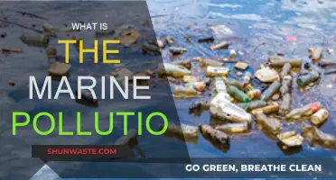 The Ocean's Plight: Understanding Marine Pollution