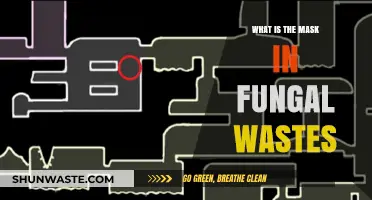 Understanding the Mask in Fungal Wastes: A Comprehensive Guide