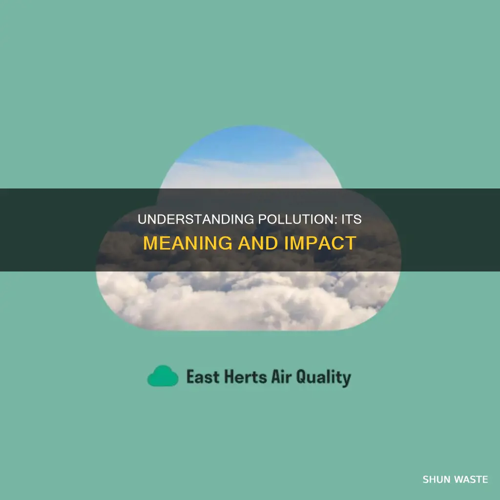 what is the mean of term pollution