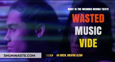 Unraveling the Symbolic Depths of Tiesto's 'Wasted' Music Video